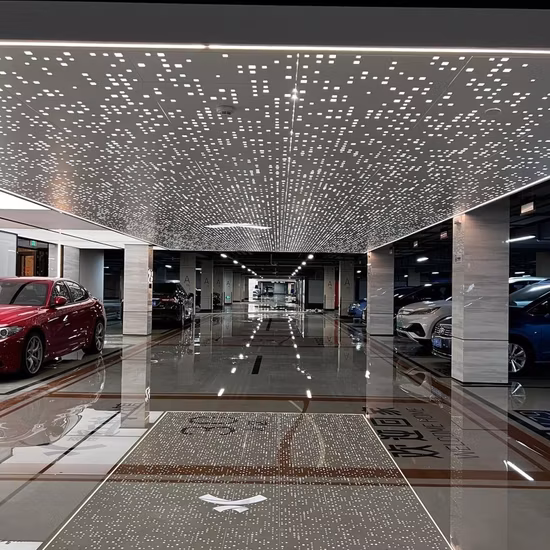 建設および装飾用のカスタマイズされたステンレス鋼パンチングメタル